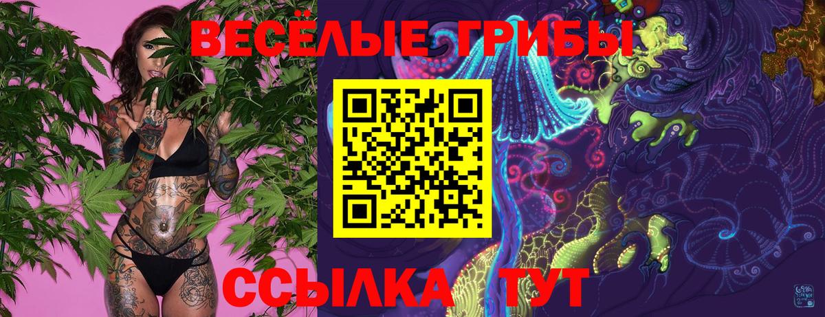 Галлюциногенные грибы мицелий Находка