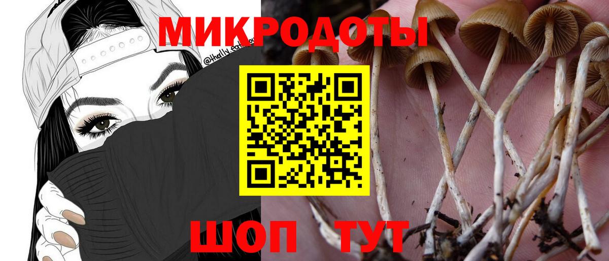 где можно купить   Псилоцибиновые грибы Psilocybe  Вход с VPN  Находка 